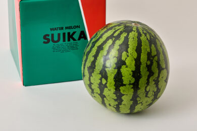 三浦すいか 大玉3L(約8㎏) 1玉入り