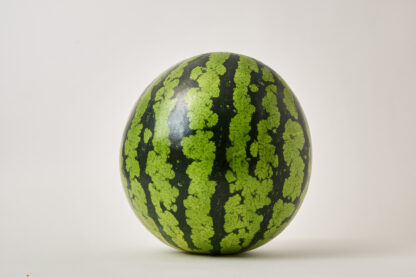 三浦すいか 大玉3L(約8㎏) 1玉入り - 画像 (3)