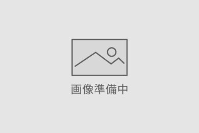 【国産桃】桃の詰め合わせセット 15～18玉 6個入り