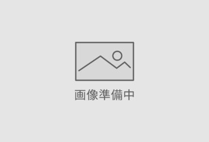 【国産桃】桃の詰め合わせセット 15～18玉 6個入り